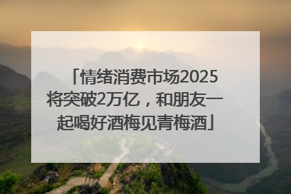 情绪消费市场2025将突破2万亿，和朋友一起喝好酒梅见青梅酒