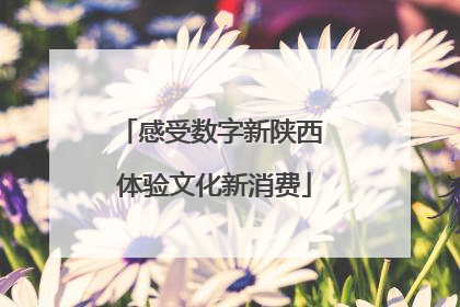 感受数字新陕西 体验文化新消费