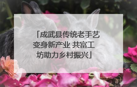 成武县传统老手艺变身新产业 共富工坊助力乡村振兴