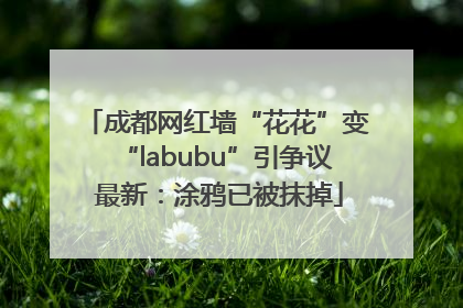 成都网红墙“花花”变“labubu”引争议 最新：涂鸦已被抹掉