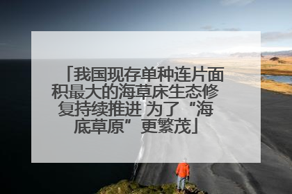 我国现存单种连片面积最大的海草床生态修复持续推进 为了“海底草原”更繁茂