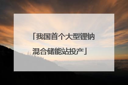 我国首个大型锂钠混合储能站投产