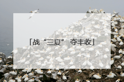 战“三夏” 夺丰收