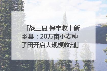 战三夏 保丰收丨新乡县：20万亩小麦种子田开启大规模收割