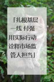扎根基层一线 付强用实际行动诠释市场监管人担当
