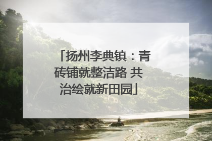 扬州李典镇：青砖铺就整洁路 共治绘就新田园