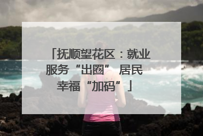 抚顺望花区：就业服务“出圈” 居民幸福“加码”