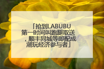 抢到LABUBU第一时间叫跑腿取送，顺丰同城等即配成潮玩经济参与者