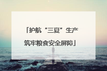 护航“三夏”生产 筑牢粮食安全屏障