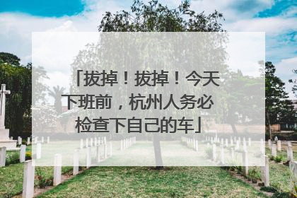 拔掉！拔掉！今天下班前，杭州人务必检查下自己的车