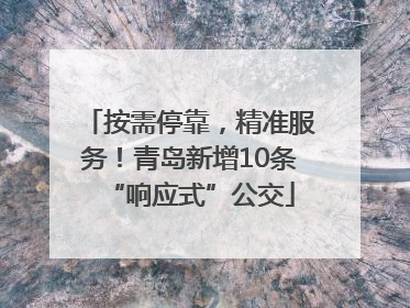 按需停靠，精准服务！青岛新增10条“响应式”公交