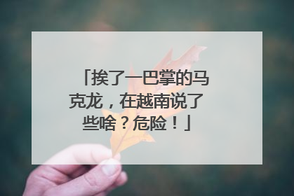 挨了一巴掌的马克龙，在越南说了些啥？危险！