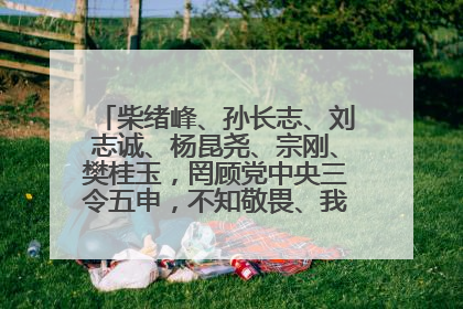 柴绪峰、孙长志、刘志诚、杨昆尧、宗刚、樊桂玉，罔顾党中央三令五申，不知敬畏、我行我素、肆意妄为！