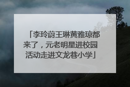 李玲蔚王琳黄雅琼都来了，元老明星进校园活动走进文龙巷小学