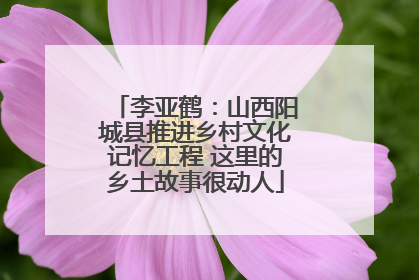 李亚鹤：山西阳城县推进乡村文化记忆工程 这里的乡土故事很动人
