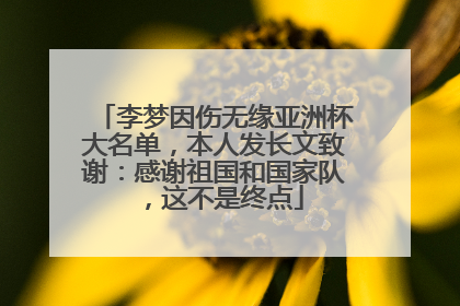李梦因伤无缘亚洲杯大名单，本人发长文致谢：感谢祖国和国家队，这不是终点