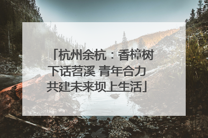 杭州余杭：香樟树下话苕溪 青年合力共建未来坝上生活