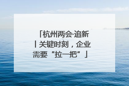 杭州两会·追新丨关键时刻，企业需要“拉一把”