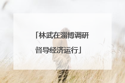 林武在淄博调研督导经济运行