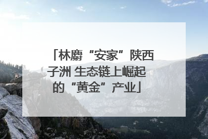 林麝“安家”陕西子洲 生态链上崛起的“黄金”产业