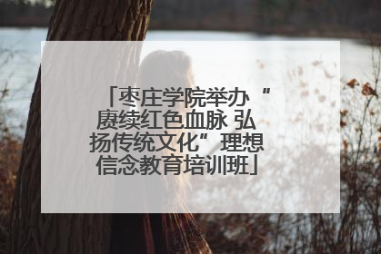 枣庄学院举办“赓续红色血脉 弘扬传统文化”理想信念教育培训班