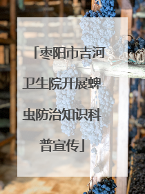 枣阳市吉河卫生院开展蜱虫防治知识科普宣传