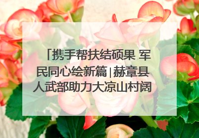 携手帮扶结硕果 军民同心绘新篇∣赫章县人武部助力大凉山村阔步乡村振兴路