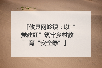 攸县网岭镇：以“党建红”筑牢乡村教育“安全绿”