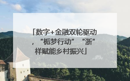 数字+金融双轮驱动，“栀梦行动”“浙”样赋能乡村振兴