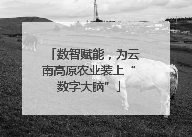 数智赋能，为云南高原农业装上“数字大脑”