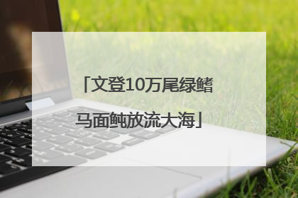 文登10万尾绿鳍马面鲀放流大海