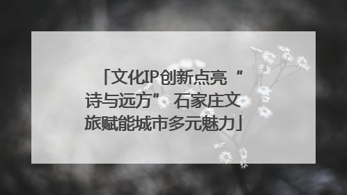 文化IP创新点亮“诗与远方” 石家庄文旅赋能城市多元魅力