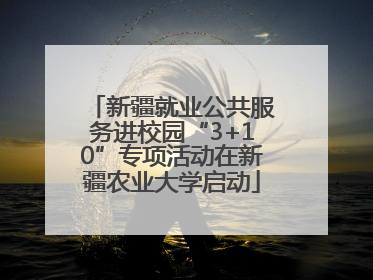 新疆就业公共服务进校园“3+10”专项活动在新疆农业大学启动