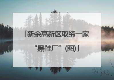 新余高新区取缔一家“黑鞋厂”(图)