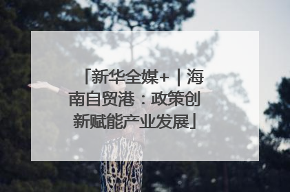 新华全媒+｜海南自贸港：政策创新赋能产业发展