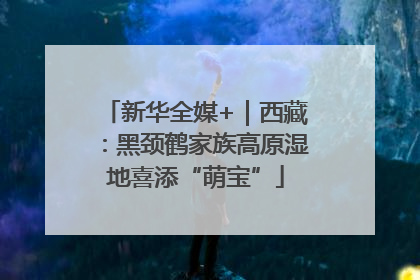 新华全媒+｜西藏：黑颈鹤家族高原湿地喜添“萌宝”