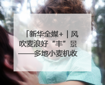 新华全媒+｜风吹麦浪好“丰”景——多地小麦机收一线见闻