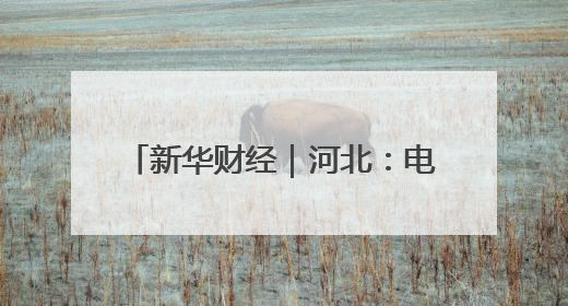 新华财经｜河北：电力赋能粮食烘干 确保小麦高质量归仓