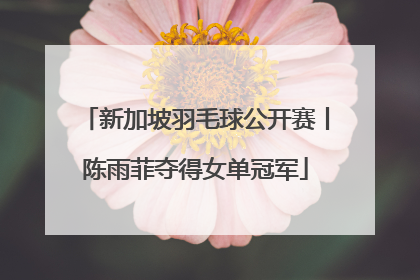 新加坡羽毛球公开赛丨陈雨菲夺得女单冠军