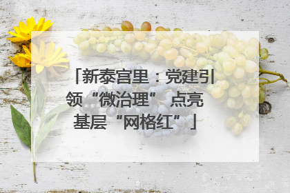 新泰宫里：党建引领“微治理” 点亮基层“网格红”