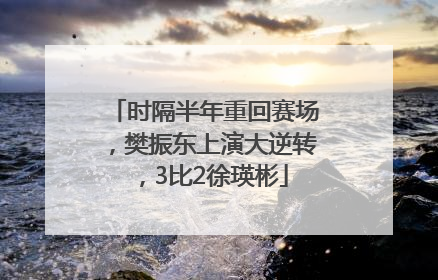 时隔半年重回赛场，樊振东上演大逆转，3比2徐瑛彬