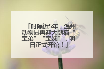 时隔近5年，温州动物园再迎大熊猫“宝弟”“宝妹”，明日正式开馆！