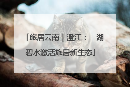 旅居云南｜澄江：一湖碧水激活旅居新生态