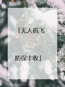 无人机飞防保丰收