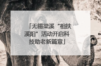 无锡梁溪“相扶溪阳”活动开启科技助老新篇章