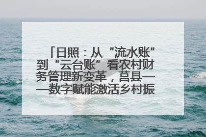 日照：从“流水账”到“云台账”看农村财务管理新变革，莒县——数字赋能激活乡村振兴“一池春水”