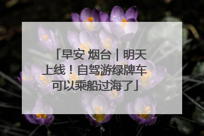 早安 烟台｜明天上线！自驾游绿牌车可以乘船过海了