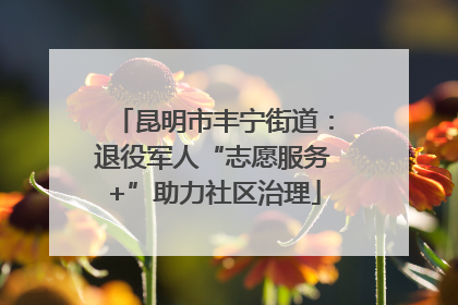昆明市丰宁街道：退役军人“志愿服务+”助力社区治理