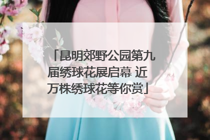 昆明郊野公园第九届绣球花展启幕 近万株绣球花等你赏