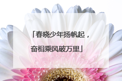春晓少年扬帆起，奋楫乘风破万里